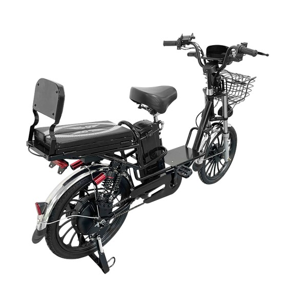 20-inch Ilan Princess II instrument head front and rear oil dish brushless gearless motor lithium battery electric bicycle